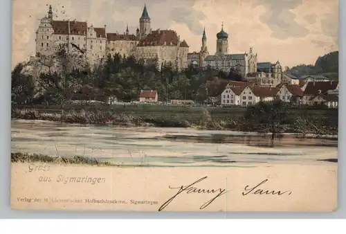 7480 SIGMARINGEN, Blick über die Donau, 1901