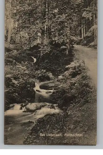 7263 BAD LIEBENZELL, Collbachtal