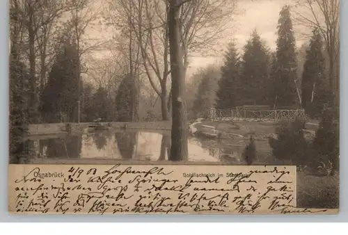 4500 OSNABRÜCK, Goldfischteich im Stadtpark, 1903
