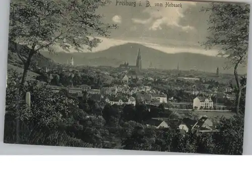 7800 FREIBURG, Blick vom Hebsack