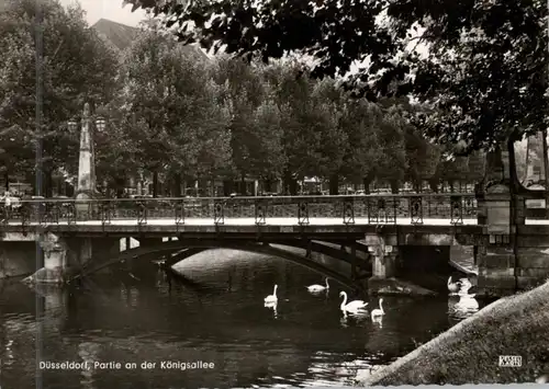 4000 DÜSSELDORF, Brücke an der Königsallee, Schwäne