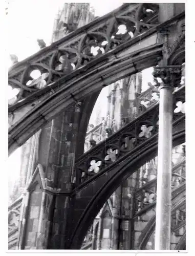 5000 KÖLN, KÖLNER DOM, großformatiges Photo (17,5 x 12,5 cm) Dachbereich (Ex-Sammlung Adenauer Berg. Gladbach)