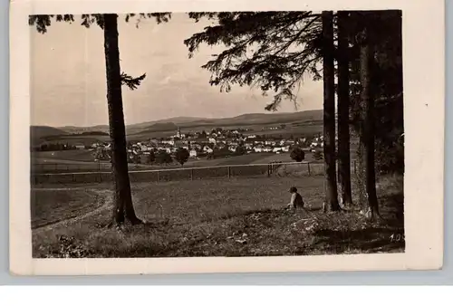 5478 NIEDERZISSEN - KEMPENICH, Blick vom Engelenberg 1944, Photo-AK