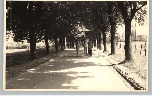 5350 EUSKIRCHEN, Billiger Wald, Panzerstrasse (Georgstrasse), Photo-AK, 1945