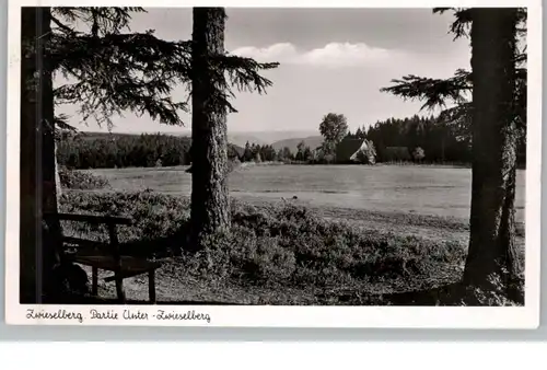 7290 FREUDENSTADT, ZWIESELBERG, Partie Unter - Zwieselberg, 1955