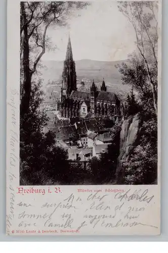 7800 FREIBURG, Münster vom Schloßberg, 1902