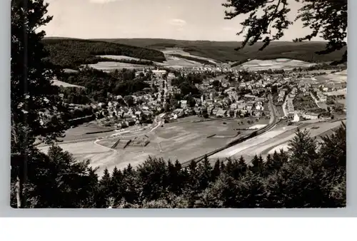 5920 BAD BERLEBURG, Blick vom Limburg, 1956