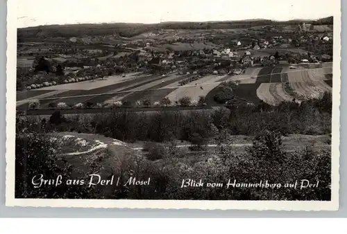 6643 PERL, Blick vom Hammelsberg