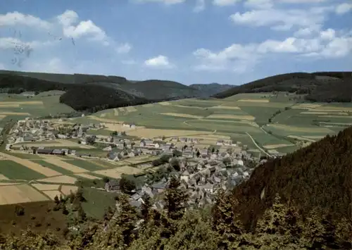3542 WILLINGEN, Blick über den Ort 1966