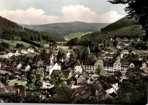 7506 BAD HERRENALP, Blick vom Marienweg über den Ort