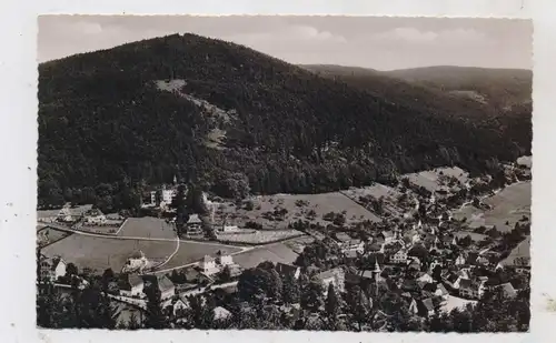 7506 BAD HERRENALB, Blick ins Gaistal, 1955