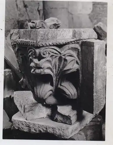 5000 KÖLN, KIRCHEN, St. Maria im Kapitol, Ottonisches Kapitel in der Restaurierung, Photo Stadtkonserv (16,2 x 12,0 cm)
