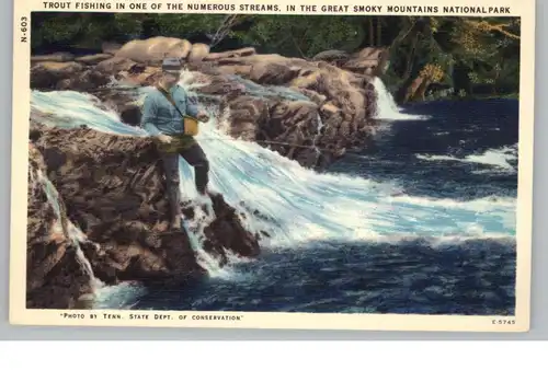 FISCHFANG / Fishing in the Great Smoky Mountains