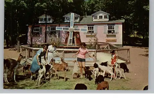 USA - NEW YORK - CATSKILLS, Animal Nursery