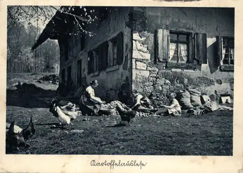 LANDWIRTSCHAFT - "Kartoffelauslese", Verlag Heinrich Hoffmann - München, # 2101, 1943