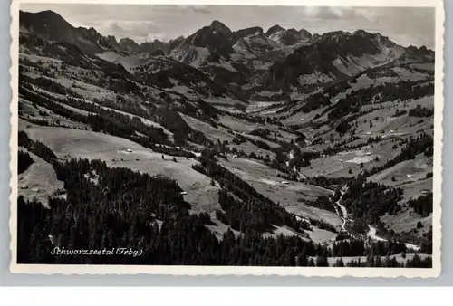 CH 1716 PLAFFEIEN - SCHWARZSEE FR, Scharzseetal, 1960