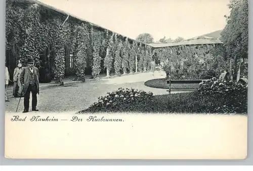 6350 BAD NAUHEIM, Der Kurbrunnen, ca. 1900