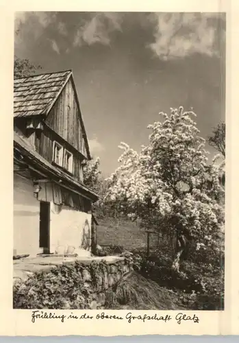 NIEDER - SCHLESIEN - Grafschaft Glatz, Frühling in der oberen Grafschaft..., Nachkriegskarte