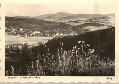 NIEDER - SCHLESIEN - WÖLFELSGRUND / MIEDZYGORZE, (Glatz), Blick zum Glatzer Schneeberg, Nachkriegskarte