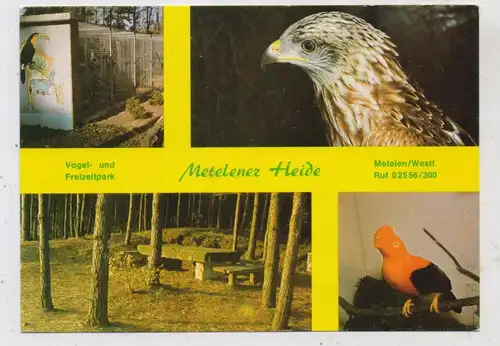 4439 METELEN, Vogel- und Freizeitpark