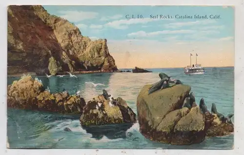 TIERE - SEELÖWEN / Seals, Catalina Islands, California