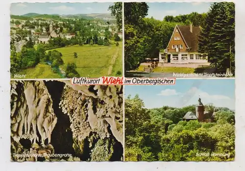 5276 WIEHL, Waldgaststätte Tropfsteinhöhle, 1966