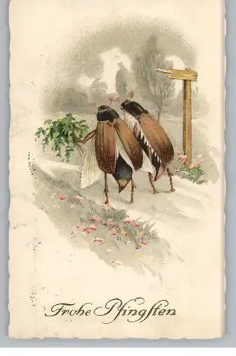 PFINGSTEN, Maikäfer auf der Wanderung, 1933