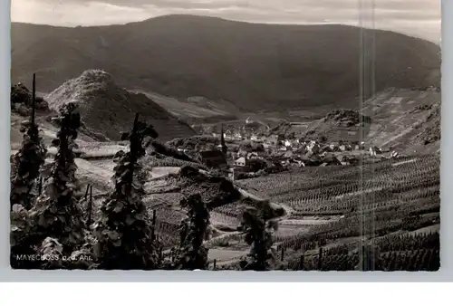 5486 ALTENAHR - MAYSCHOSS, Blick aus den Weinbergen, 195...