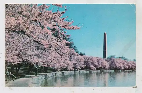 USA - WASHINGTON D.C., Wahington Monument