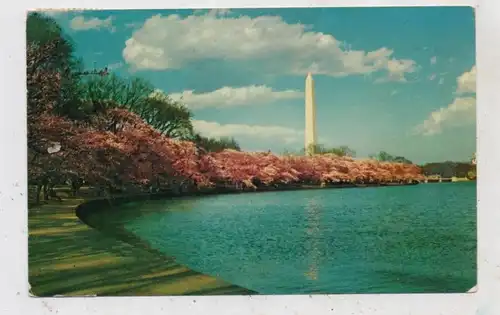 USA - WASHINGTON D.C., Wahington Monument