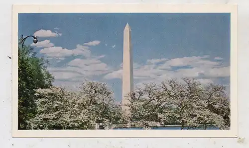USA - WASHINGTON D.C., Wahington Monument