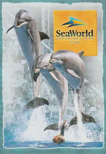 DELFINE / Dolphins - Seaworld San Diego