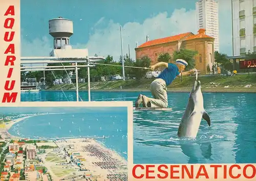 DELFINE / Dolphins - Aquarium Cesenatico