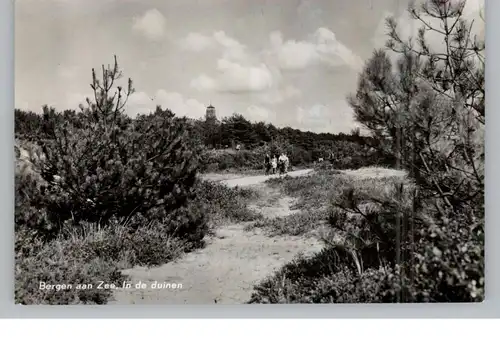 NOORD - HOLLAND - BERGEN, In de duinen, 1965