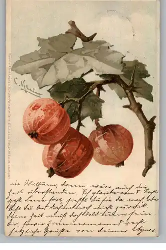 KÜNSTLER / Artist - CATHARINA KLEIN, Rote Stachelbeeren, 1906, Meissner & Buch