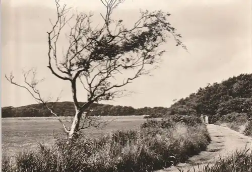NOORD-HOLLAND - BERGEN, Wiertdijkje