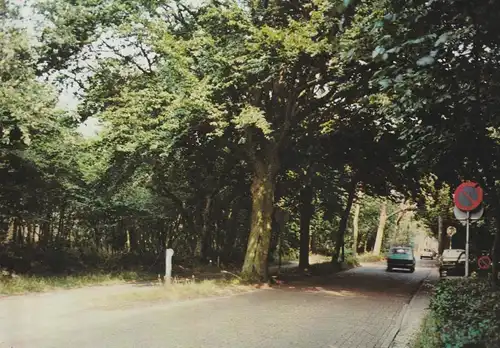NOORD-HOLLAND - BERGEN, Dorpstraat