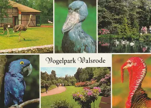 TIERE - ZOO, Vogelpark Walsrode