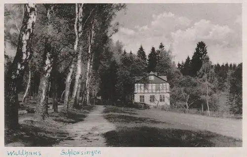 0-6056 SCHLEUSINGEN, Waldhaus, 1955