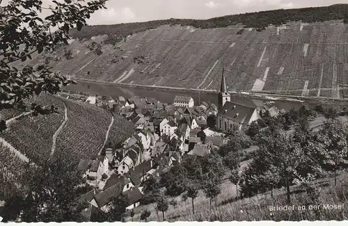 5583 ZELL - BRIEDEL, Blick auf Ort, Mosel und Weinberge, 1960