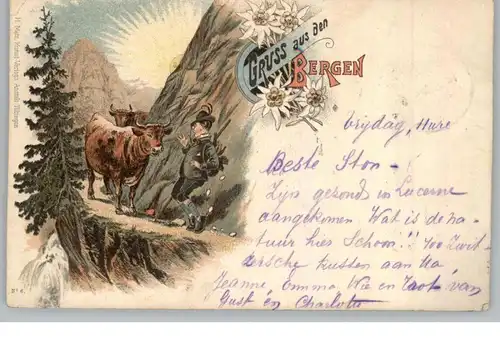TRACHTEN - GRUSS AUS DEN BERGEN, Tourist trifft Kühe, Lithographie 1899
