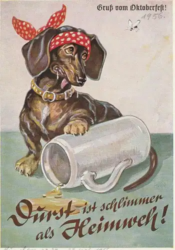 HUNDE - DACKEL / Teckel / Dachshund / Bassotto, Gruß vom Oktoberfest, rücks. kl. Klebereste