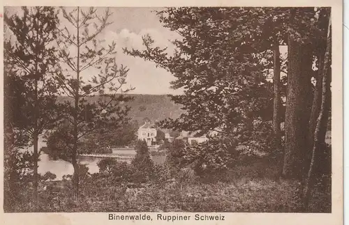 0-1950 NEURUPPIN - BINENWALDE, Villenblick