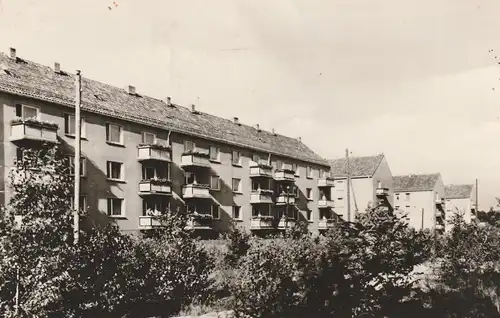 0-1602 BESTENSEE, Rudi-Arnstadt-Strasse, 1965, Rotophot