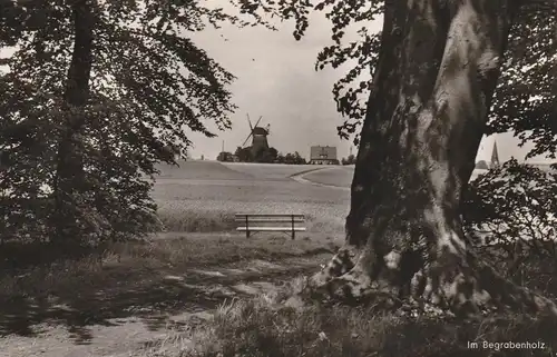 2852 BEDERKESA, Im Begrabenholz, Windmühle, 60er Jahre, Verlag Jahn