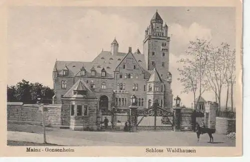 6500 MAINZ - GONSENHEIM, Schloß Waldhausen