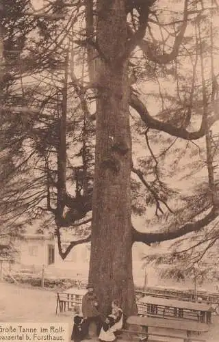 7547 WILDBAD, Forsthaus bei der großen Tanne, Förster mit Familie