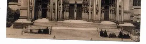 5000  KÖLN, KÖLNER DOM, Südportal, Bepflanzung in der Treppe