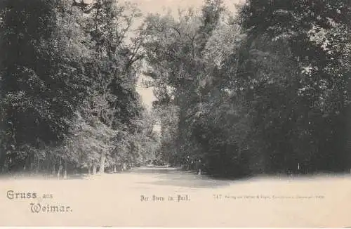 0-5300 WEIMAR, Der Stern im Park, 1901