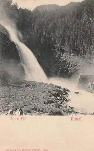 A 5743 KRIMML, Unterer Fall, Kuhherde, ca. 1905 Verlag Stengel